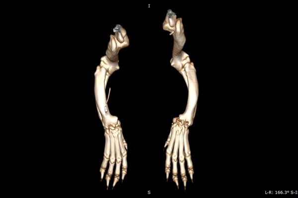 3D_VR_-_lecrut_ichangou_-_10_01_2024_14_06_59_-_COU_IV_COU_IV_0000