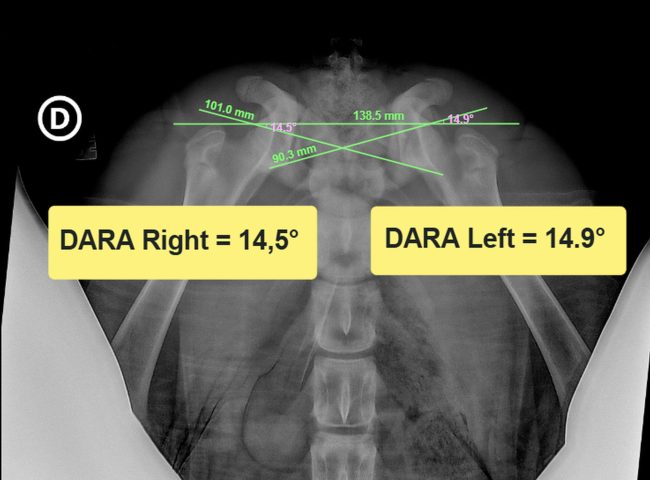 Presse-papier_12-28-2025_01