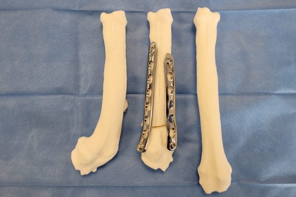 Presse-papier_12-31-2025_01